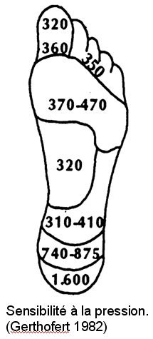 Podologue, podologie, posture, posturologie, sport, podologue du sport, équilibre, biomécanique, bilan postural, bilan podologique, semelles orthopédiques, semelles posturales, orthèses plantaires, mal de dos, lombalgie, cervicalgie, maux de tête, arthrose, arthrite, tendinite, TFL, patte d’oie, épine calcanéenne, myo-aponévrosite, hallux valgus, hallux rigidus, griffes d’orteil, Morton, cors, durillons, scoliose, fibromyalgie, instabilité, vertiges, ostéopathie, Essonne, Vigneux, Paris.